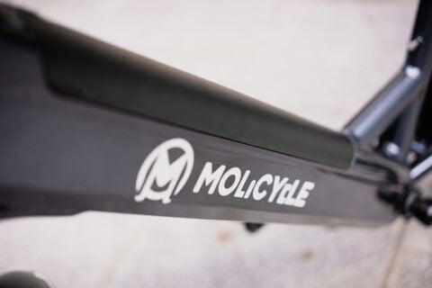 Molicycle R1 4